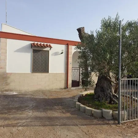 Estate A بيت للعطل
